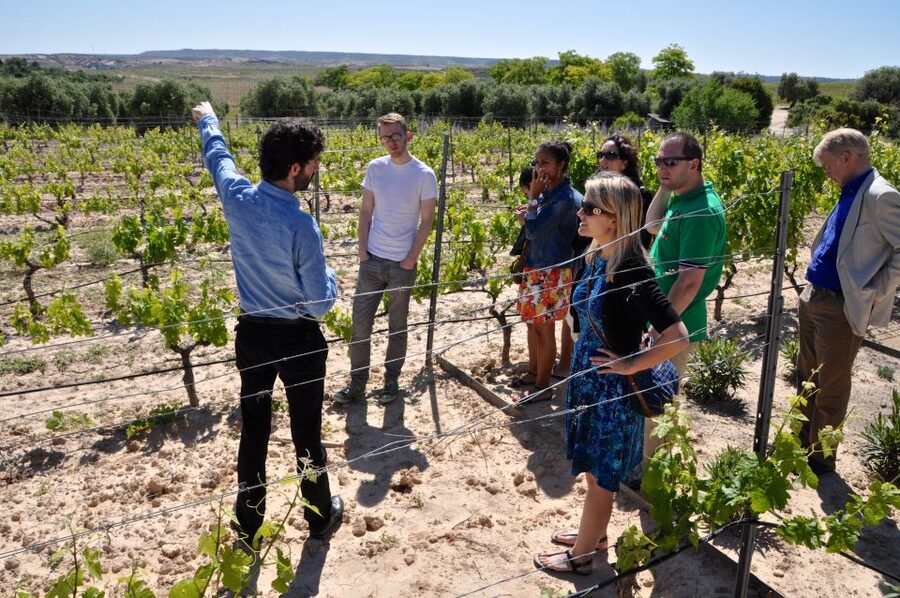 Madrid Region Wineries Guided Tour with Wine Tastings - Chinchón: wine, old streets, and local character