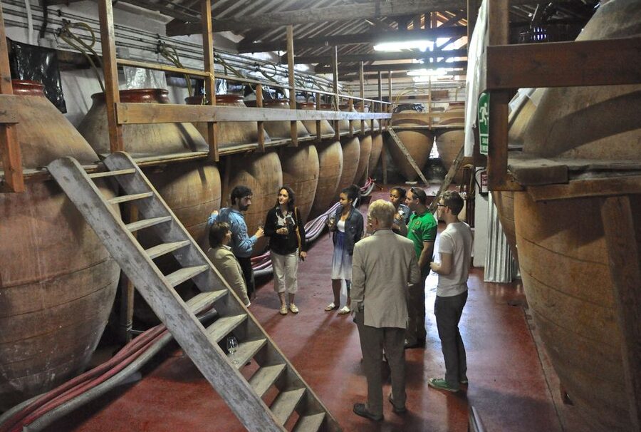 Madrid Region Wineries Guided Tour with Wine Tastings - The guides make or break the day