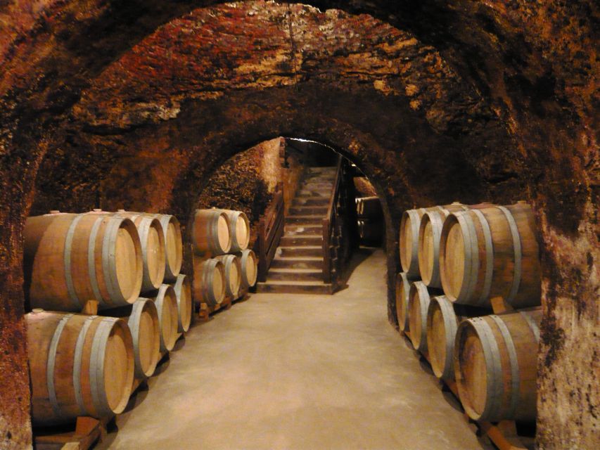 Madrid Region Wineries Guided Tour with Wine Tastings - Leaving Madrid from Plaza del Conde de Casal