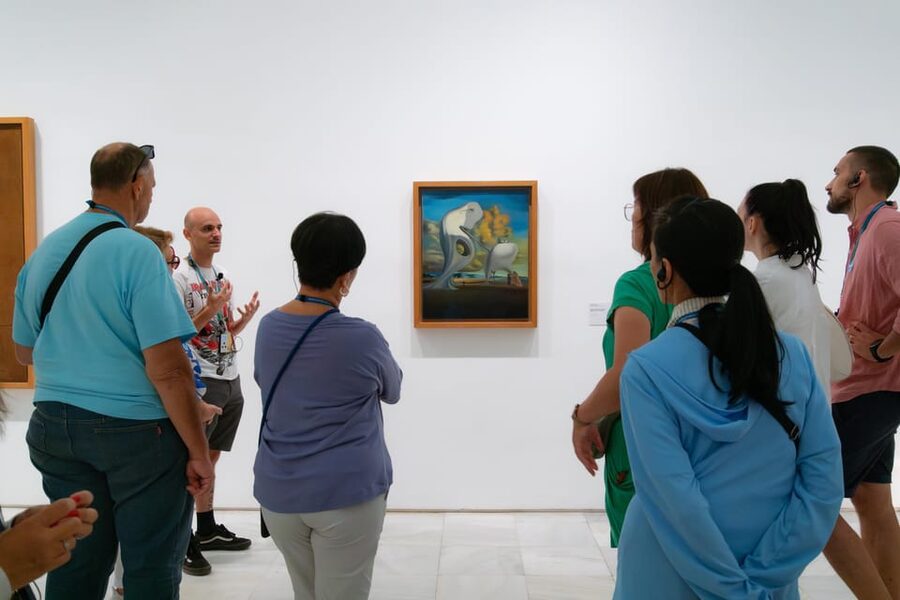 Madrid: Reina Sofia and Prado Museum Tickets and Guided Tour - How the guides shape the experience