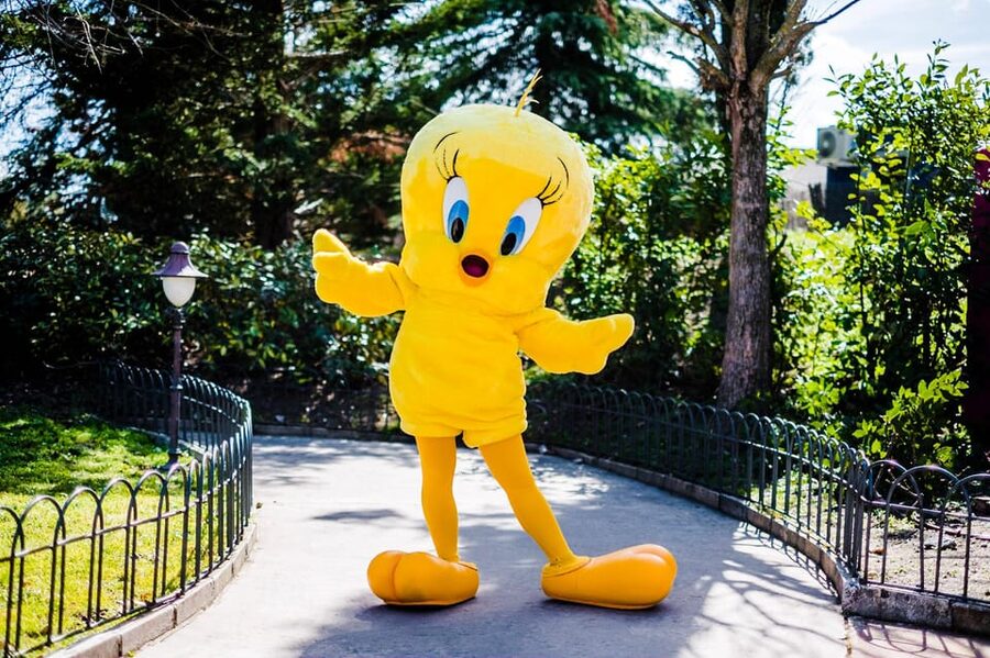 Madrid: Warner Park Entry Ticket - Five things to know before you go