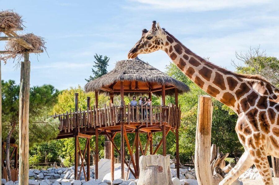 Madrid: Zoo Aquarium Madrid Ticket - Key points to know before you go