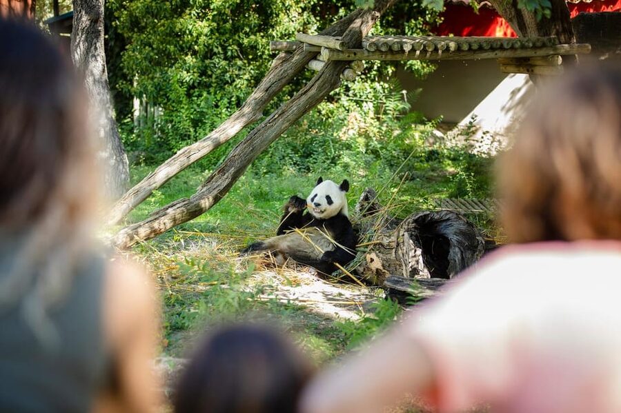 Madrid: Zoo Aquarium Madrid Ticket - Why Madrid Zoo Aquarium works as a full-day outing