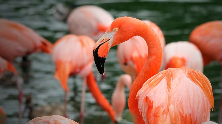 Madrid: Zoo Aquarium Madrid Ticket - Is the $28 ticket good value?