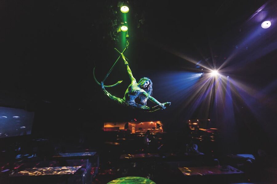 Magaluf: Pirates Adventure Dinner Show Ticket - The pirate story: Morgan, Lafitte, and famous sea dogs