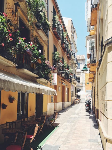 Málaga: 3-Hour Complete Walking Tour with Tickets - Walking Málaga’s historic center