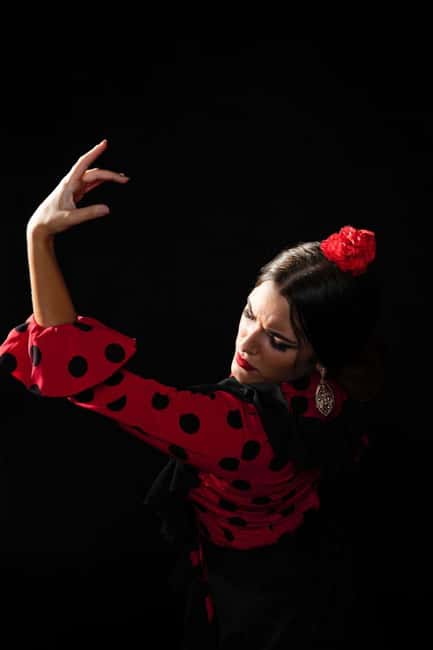 Malaga: Authentic Flamenco Dinner Show at Vino Mio - Key Points Before You Book