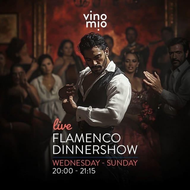 Malaga: Authentic Flamenco Dinner Show at Vino Mio - A One-Hour Performance of Voice, Guitar, and Dance
