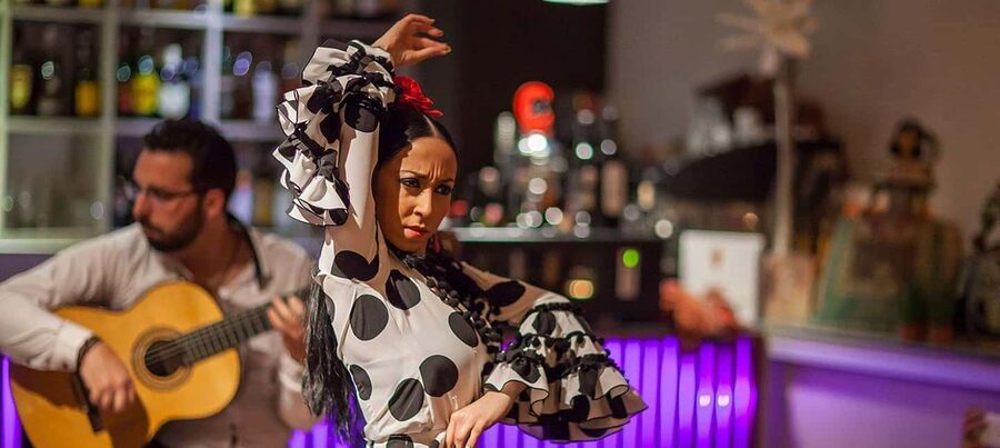 Malaga: Authentic Flamenco Dinner Show at Vino Mio - A Good Choice for Families and Mixed Groups