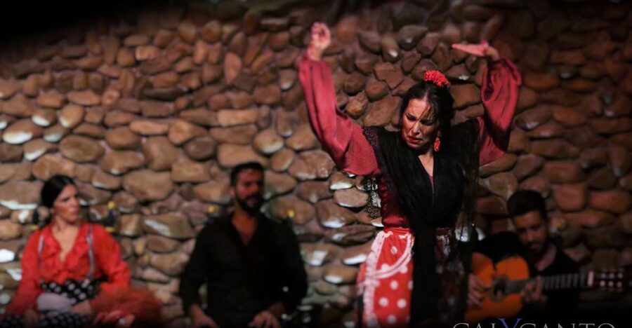Malaga: Authentic Flamenco Show at El Gallo Ronco - Why El Gallo Ronco feels different from a large stage show