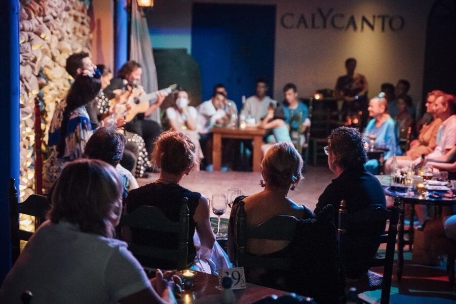 Malaga: Authentic Flamenco Show at El Gallo Ronco - The performers: dance, guitar, and voice