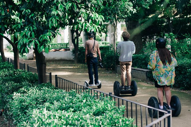 Malaga City Tour 1 Hour Panoramic Segway Tour - Timing, Weather, and Cancellation Details
