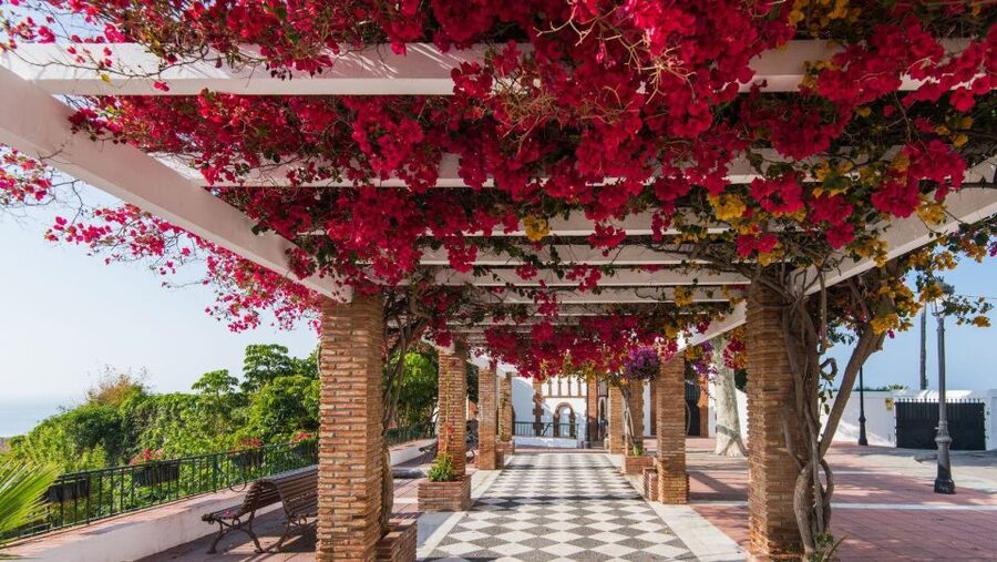 Malaga: Frigiliana & Nerja Tour with Local Product Tastings - Key points to know before booking