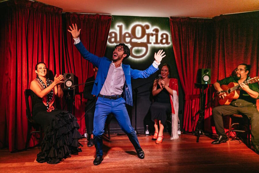 Málaga: Live Flamenco Show at Flamenco Alegría - How to make the evening go better