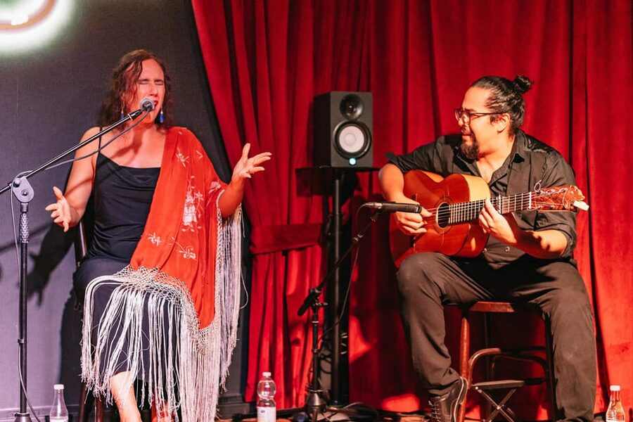 Málaga: Live Flamenco Show at Flamenco Alegría - Solo performances reveal the range of flamenco
