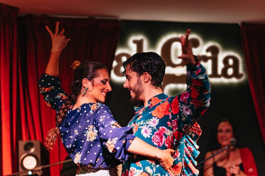 Málaga: Live Flamenco Show at Flamenco Alegría - Tapas, wine, and sangria are optional extras