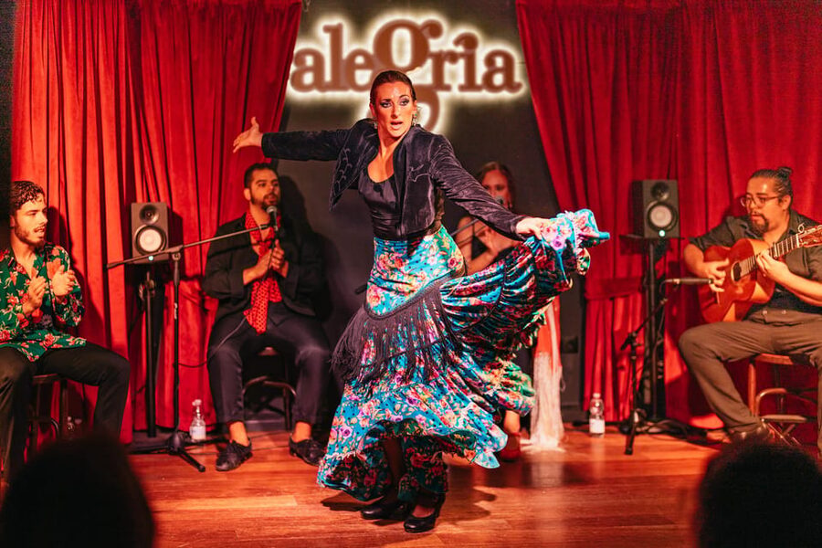 Málaga: Live Flamenco Show at Flamenco Alegría - Who will enjoy this show most