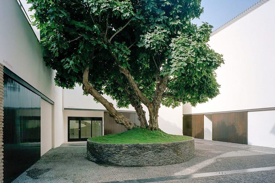 Málaga: Museo Picasso Málaga Entry Ticket - The audio guide, and one important QR code tip