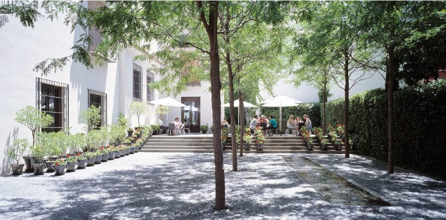 Málaga: Museo Picasso Málaga Entry Ticket - Booking ahead is the smart move