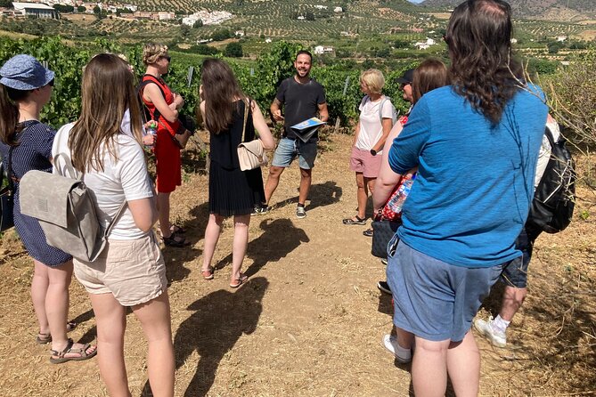 Malaga Organic Vineyard and Winery Six Wines Tapas and Transfer - The tour in a nutshell