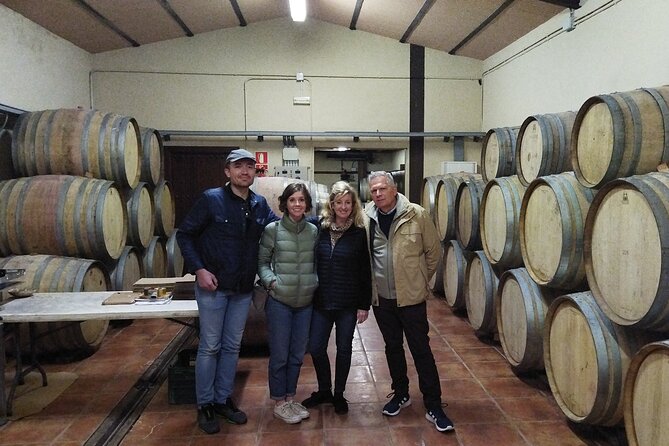 Malaga Organic Vineyard and Winery Six Wines Tapas and Transfer - A hillside vineyard with sea views