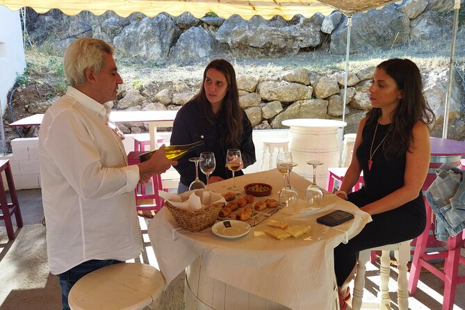 Malaga Organic Vineyard and Winery Six Wines Tapas and Transfer - Who will enjoy this Málaga wine tour?