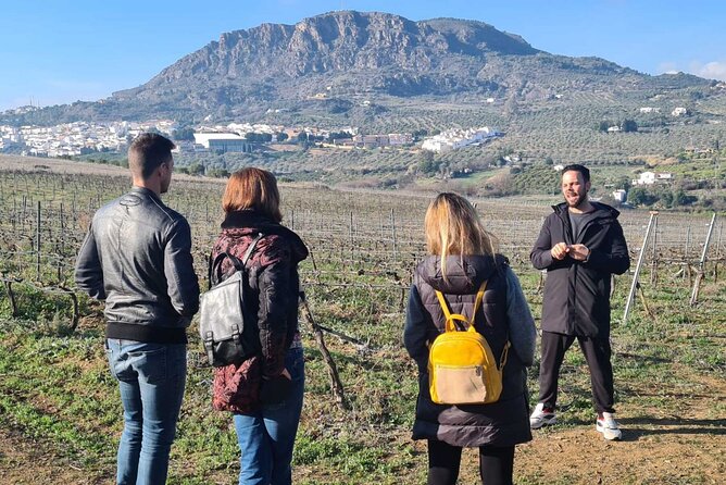 Malaga Organic Vineyard and Winery Six Wines Tapas and Transfer - My verdict on the six-wine outing