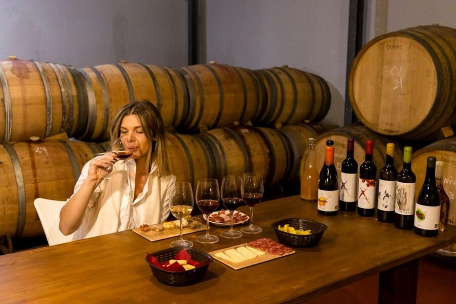 Malaga: Organic Vineyard Tour with 6 Wines, Tapas & Transfer - Key things to know before booking