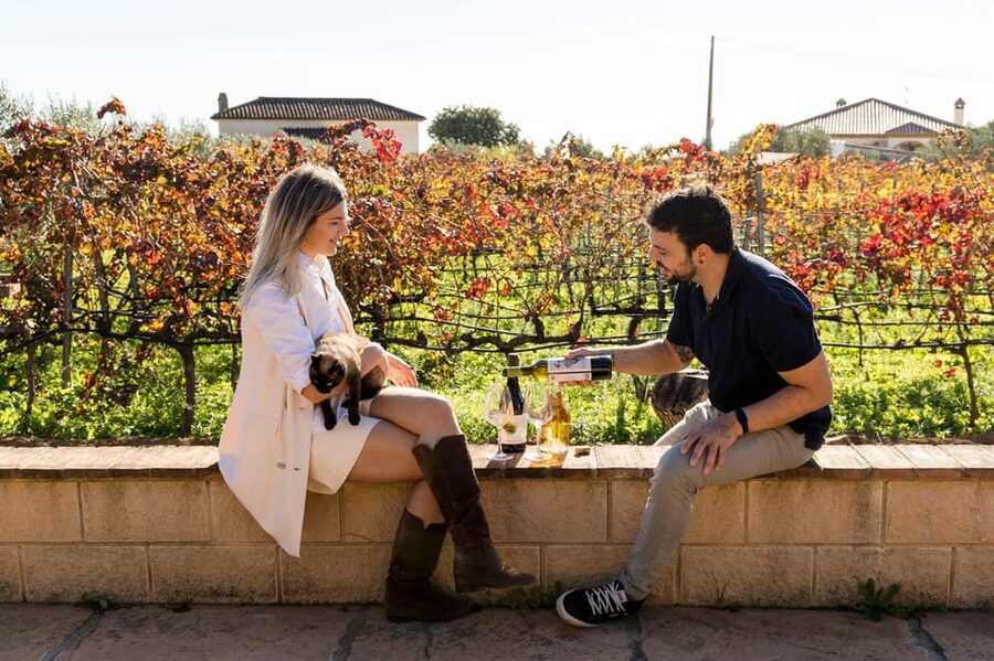 Malaga: Organic Vineyard Tour with 6 Wines, Tapas & Transfer - Leaving Málaga for the Andalusian hills