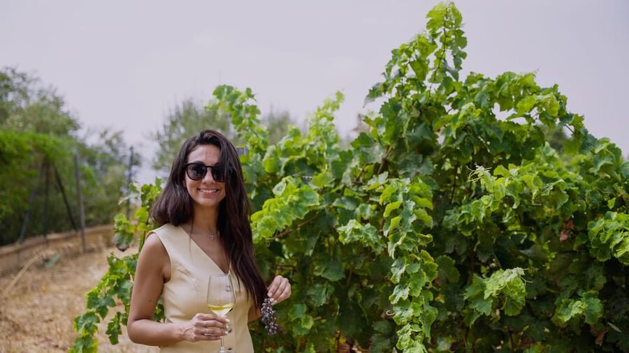 Malaga: Organic Vineyard Tour with 6 Wines, Tapas & Transfer - The small cellar where the wine is actually made