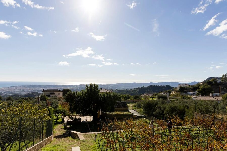 Malaga: Organic Vineyard Tour with 6 Wines, Tapas & Transfer - Tapas that make the tasting feel like lunch