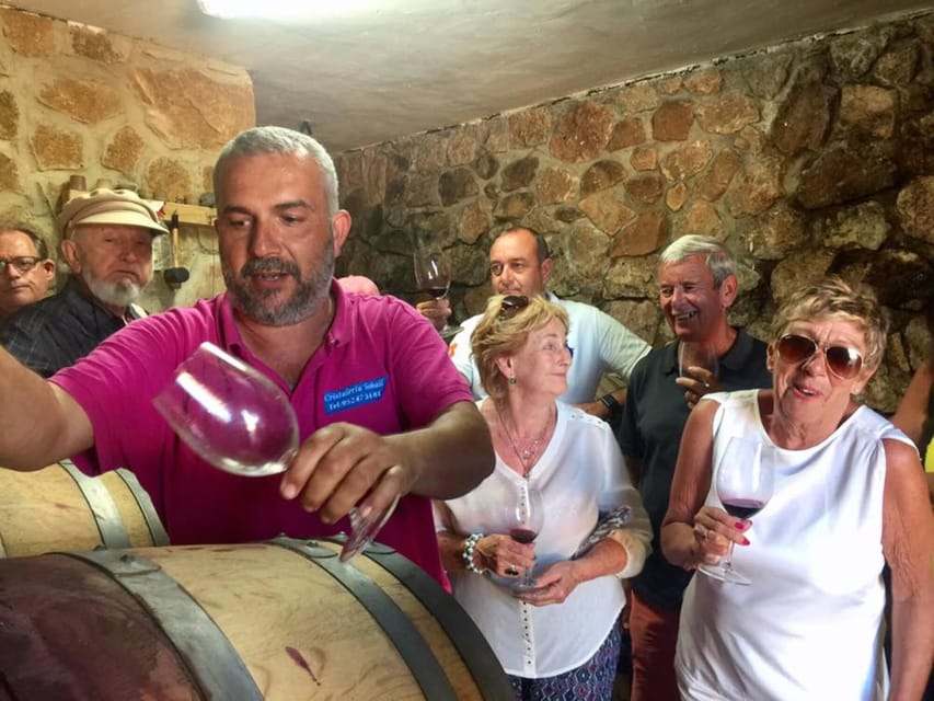 Malaga: Organic Vineyard Tour with 6 Wines, Tapas & Transfer - What the price includes, and what it does not