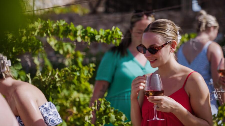 Malaga: Organic Vineyard Tour with 6 Wines, Tapas & Transfer - The 35-minute walk through Viñedo Malvajio