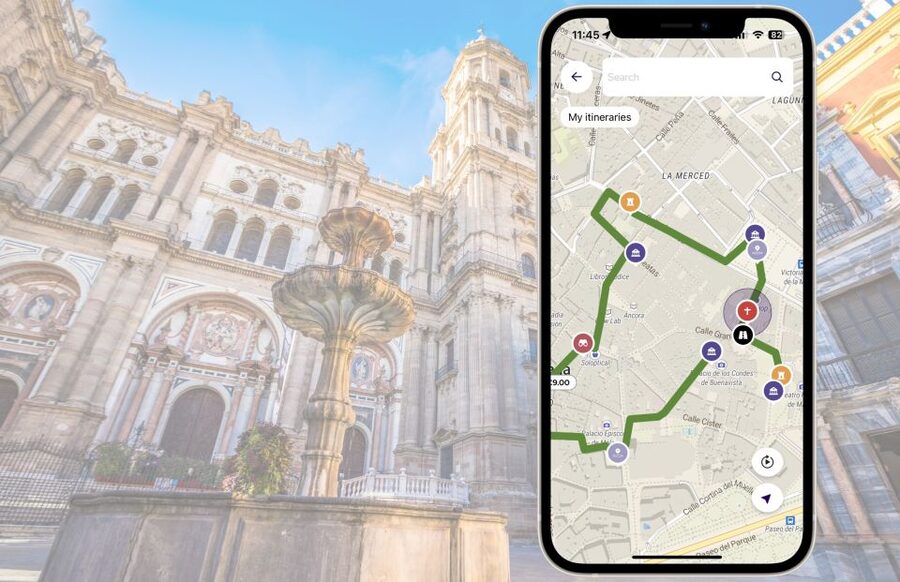 Málaga: Picasso Birthplace Museum Ticket & City Audio Guide - Who will get the most from this experience