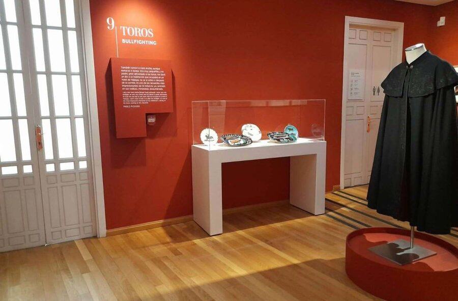 Málaga: Picasso Birthplace Museum Ticket & City Audio Guide - The drawbacks to consider before booking
