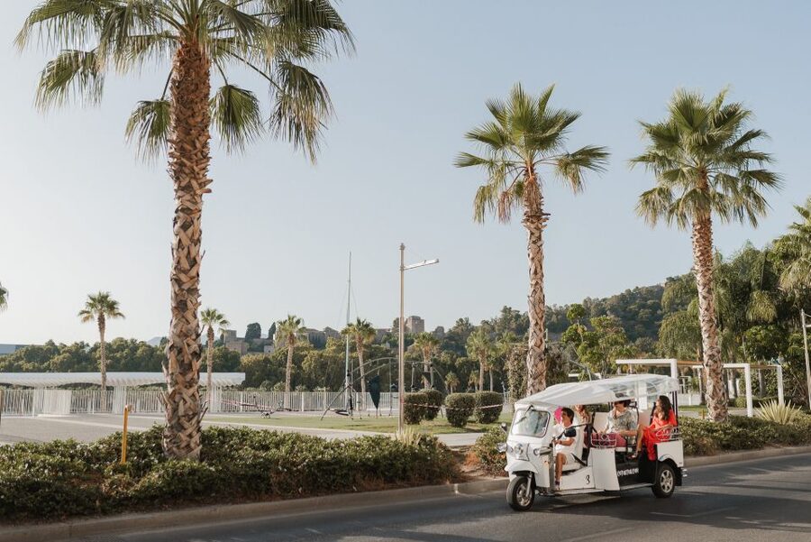 Malaga: Private City Tour by Eco Tuk Tuk - Centre Pompidou and the modern port