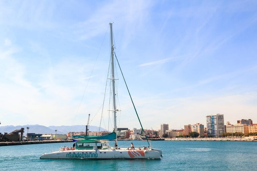 Malaga: Sailing Catamaran with Swimming and Paella Lunch - Who Will Enjoy This Catamaran Most
