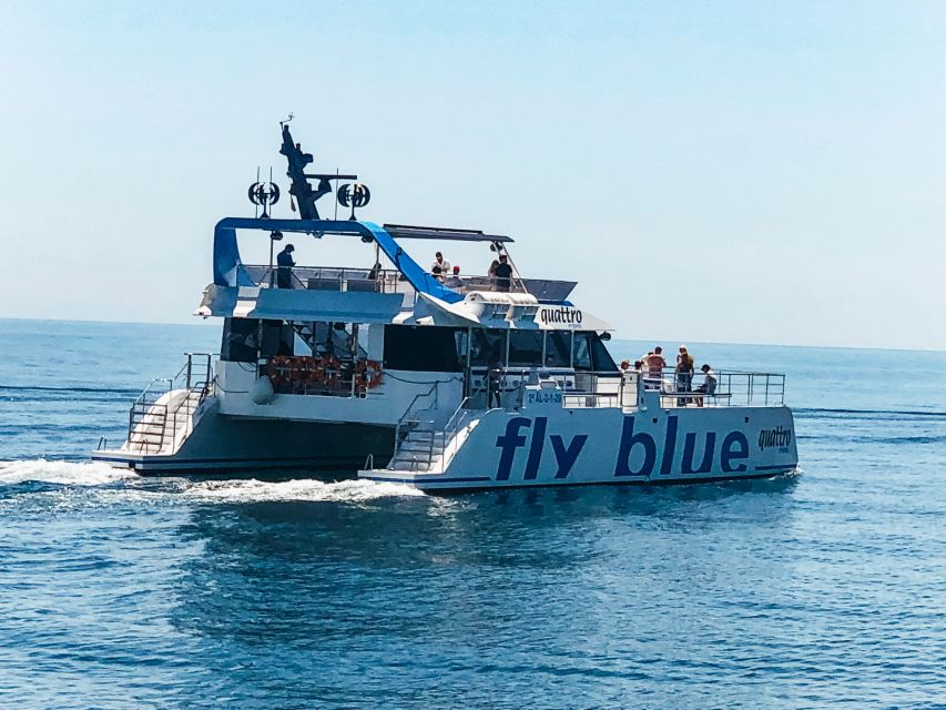 Málaga: Scenic Catamaran Cruise - Should you book the Málaga catamaran cruise?