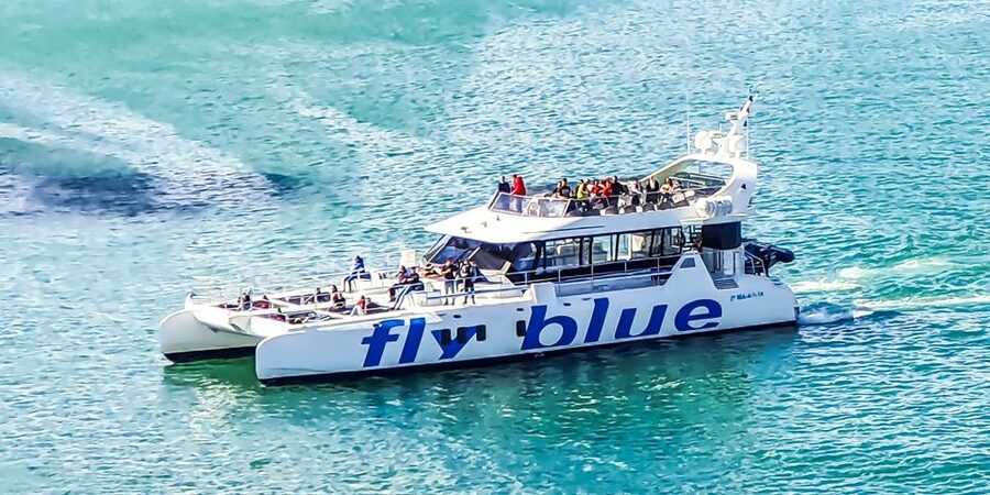 Málaga: Scenic Catamaran Cruise - Swimming is a seasonal possibility, not a promise