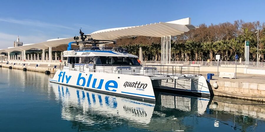 Málaga: Scenic Catamaran Cruise - Accessibility and practical limits