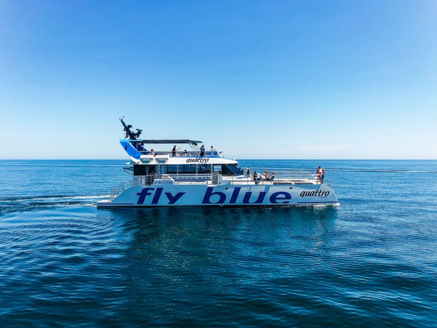 Málaga: Scenic Catamaran Cruise - Who will enjoy this cruise most