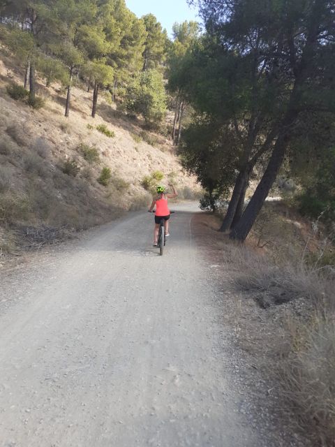 Málaga: Scenic Easy 3-Hour E-Bike Tour in Montes de Málaga - Viewpoints, reservoir sights, and the mountain stop