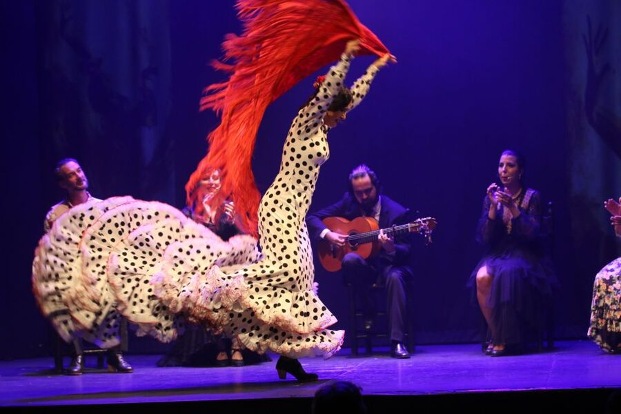 Malaga: Teatro Flamenco Malaga Live Flamenco Show - Quick takeaways for planning your evening