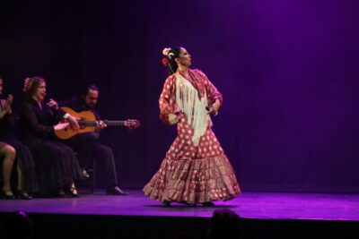 Teatro Flamenco Malaga Live Flamenco Show