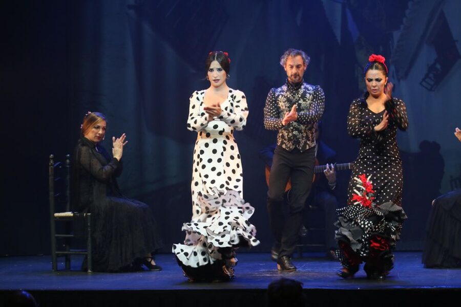 Malaga: Teatro Flamenco Malaga Live Flamenco Show - Is $34 a fair price?