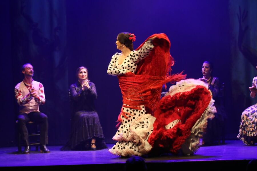 Malaga: Teatro Flamenco Malaga Live Flamenco Show - Who will enjoy this flamenco show most?