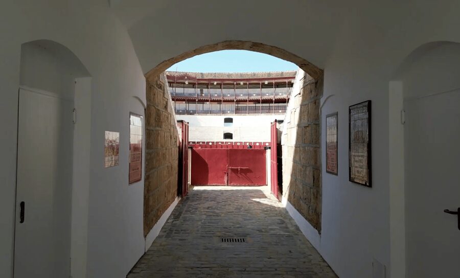 Malaga: Tour of Malagueta Bullring & Immersive Exhibition - What the $16 ticket gives you