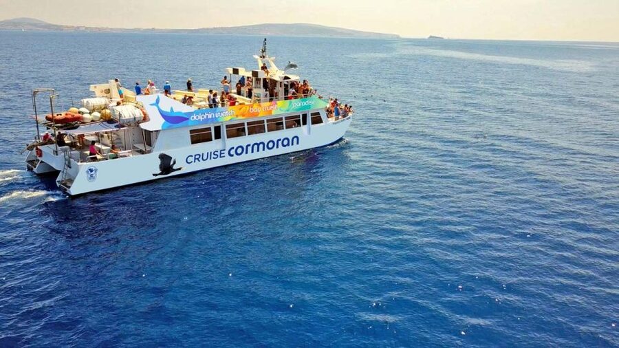 Mallorca: 2-Hour Dolphin Watching Cruise & Glass-Bottom Boat - Key points to know before sailing