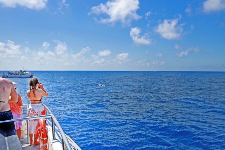Mallorca: 2-Hour Dolphin Watching Cruise & Glass-Bottom Boat - Setting Out From Mallorca’s Coast