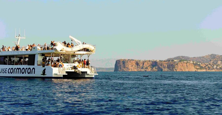 Mallorca: 2-Hour Dolphin Watching Cruise & Glass-Bottom Boat - Sun, Shade, Snacks, and Swimming